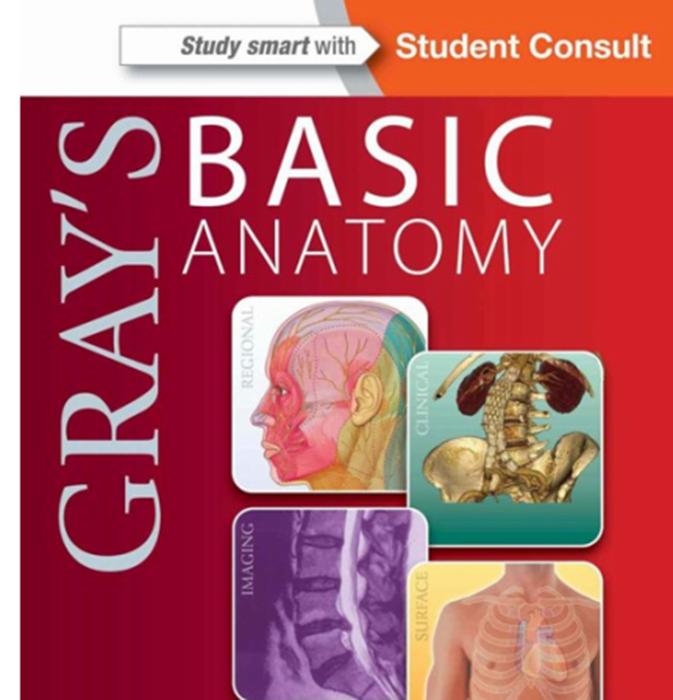 Libros de Médicos Anatomía Básica de Gray`sLibros Médicos